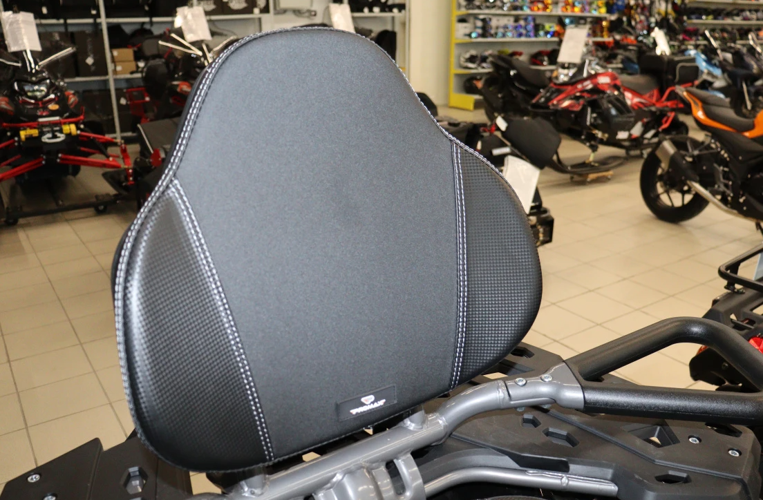 Квадроцикл PROMAX RENEGADE 300 LONG WINCH PRO (2025) в Королёве