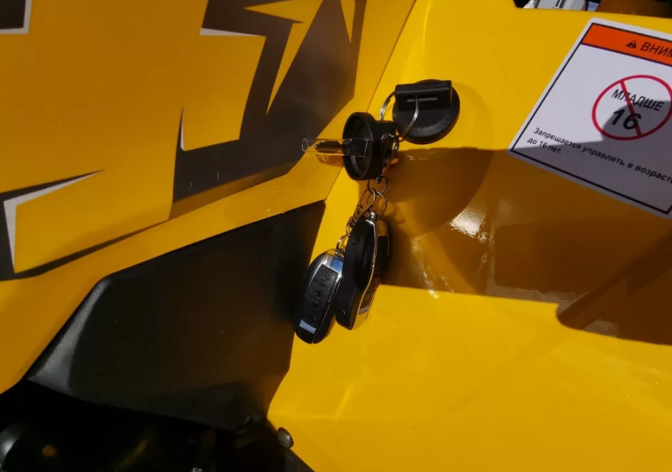 Квадроцикл MOTOLAND (МОТОЛЕНД) VOX200 WILD TRACK X PRO (баланс. вал) в Королёве