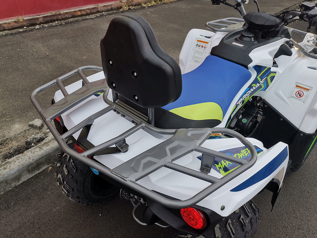 Квадроцикл PROMAX RENEGADE 280 LUX (2025) в Королёве