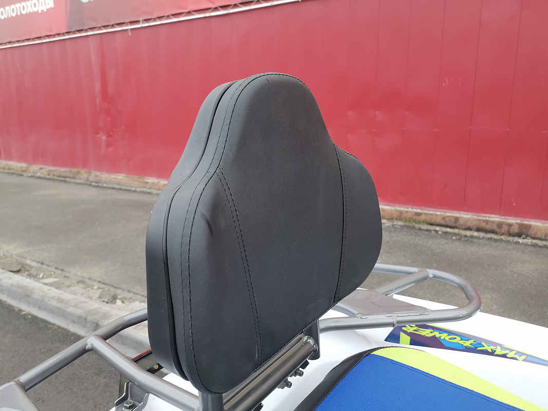 Квадроцикл PROMAX RENEGADE 280 LUX (2025) в Королёве