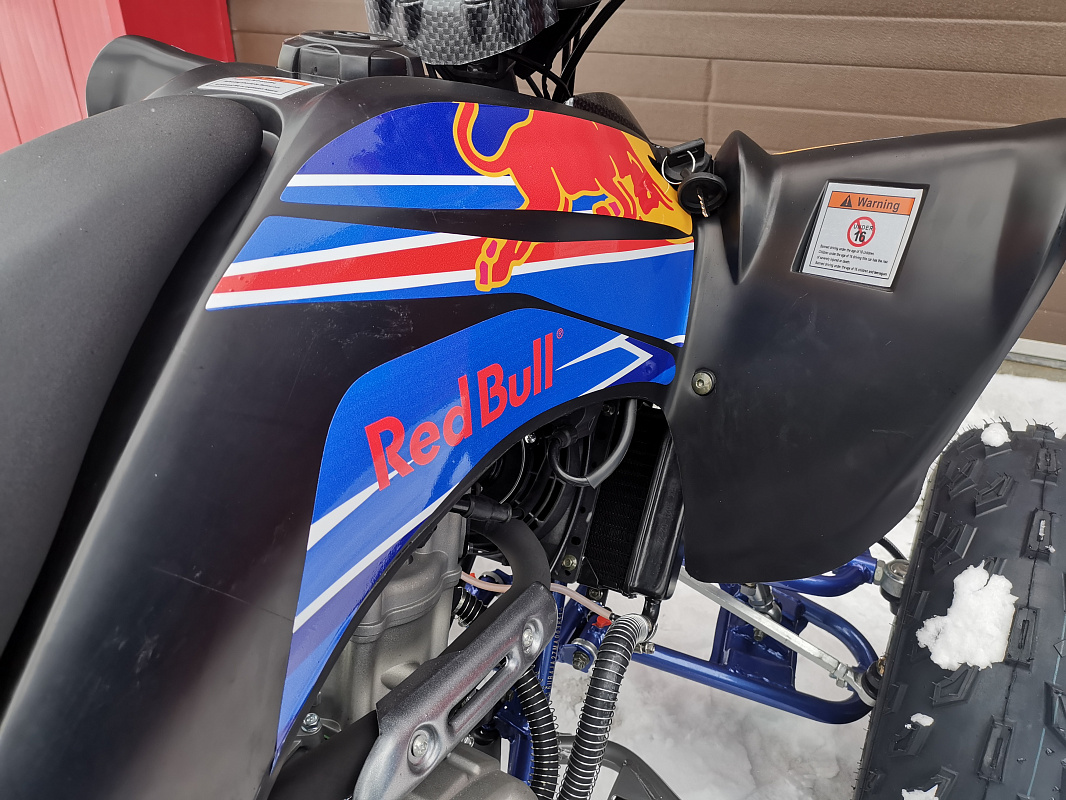 Квадроцикл PROMAX RAPTOR 300 NEW RedBull в Королёве