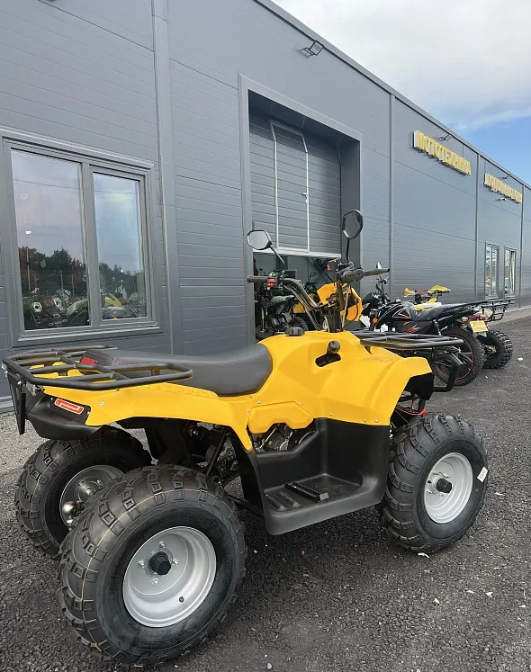 КВАДРОЦИКЛ IRBIS ATV 250  в Королёве