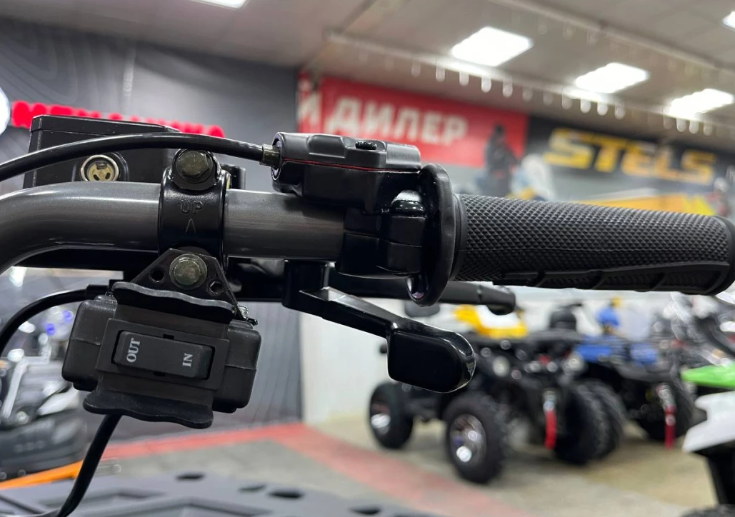 Квадроцикл PROMAX RENEGADE 300 LONG WINCH PRO (2025) в Королёве