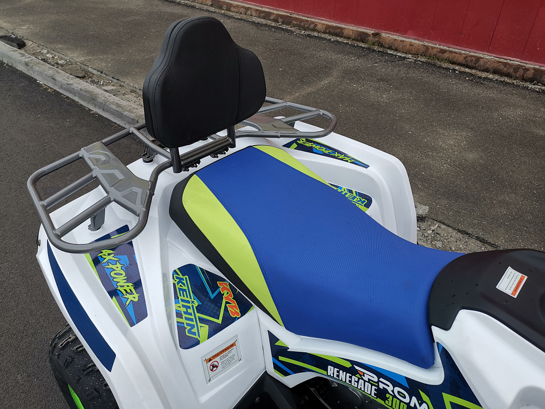 Квадроцикл PROMAX RENEGADE 280 LUX (2025) в Королёве