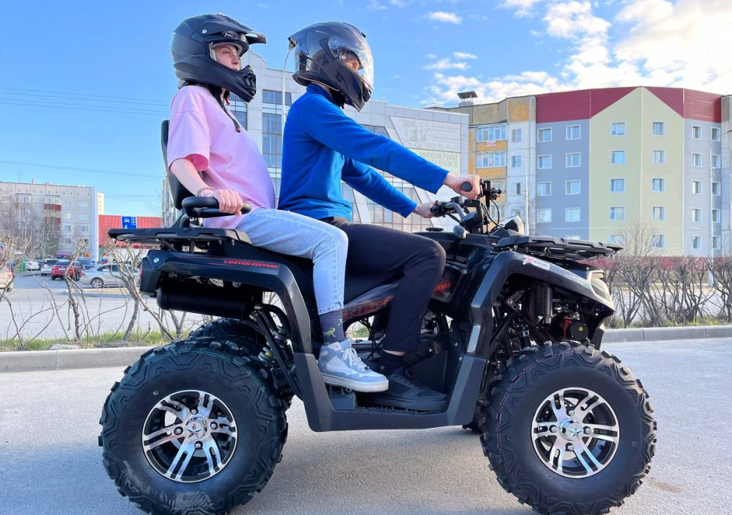 Квадроцикл PROMAX RENEGADE 300 LONG WINCH PRO (2025) в Королёве