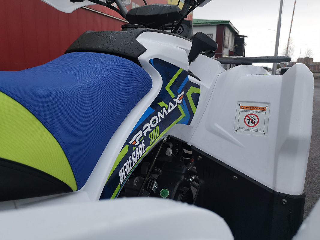 Квадроцикл PROMAX RENEGADE 280 LUX (2025) в Королёве