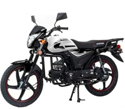 Мопед MOTOLAND (МОТОЛЕНД) Альфа RS 11 (LM48-B) в Королёве