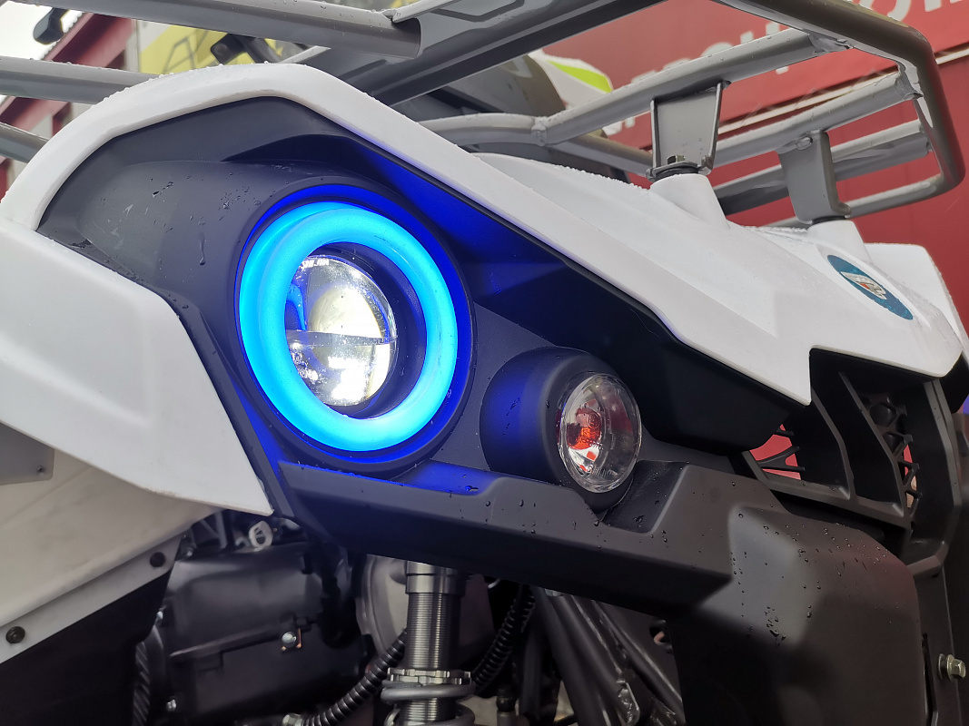 Квадроцикл PROMAX RENEGADE 280 LUX (2025) в Королёве