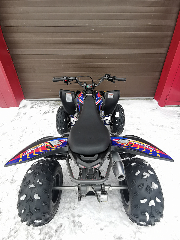 Квадроцикл PROMAX RAPTOR 300 NEW RedBull в Королёве