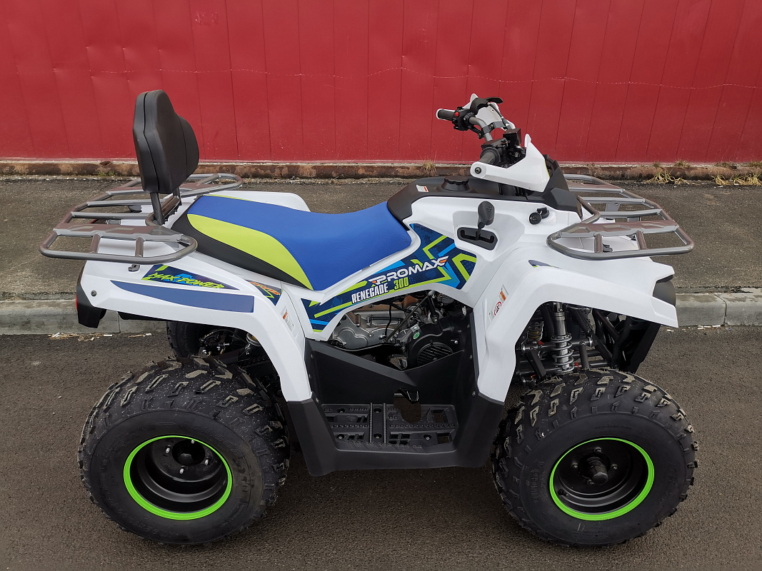 Квадроцикл PROMAX RENEGADE 280 LUX (2025) в Королёве