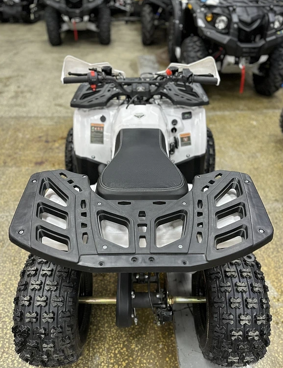 Квадроцикл PROMAX WILD 2.0 190 в Королёве