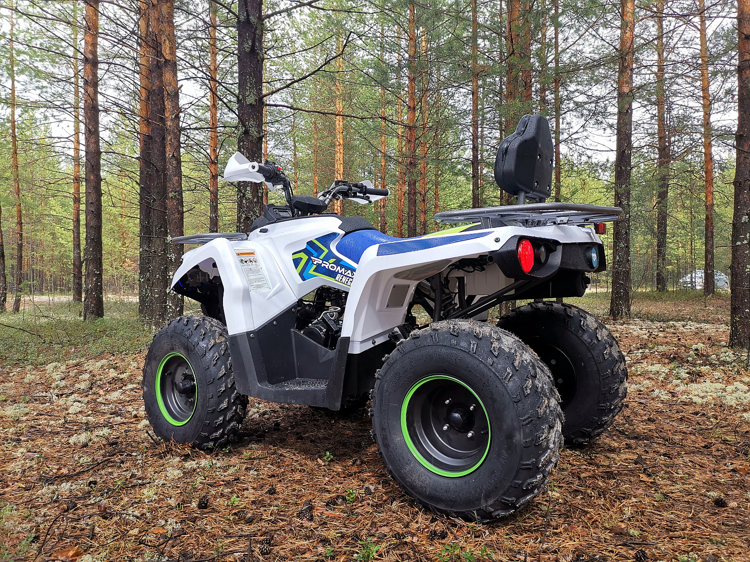 Квадроцикл PROMAX RENEGADE 280 (2025) в Королёве