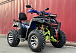  Квадроцикл PROMAX ATV 250 MAX (2025) в Королёве