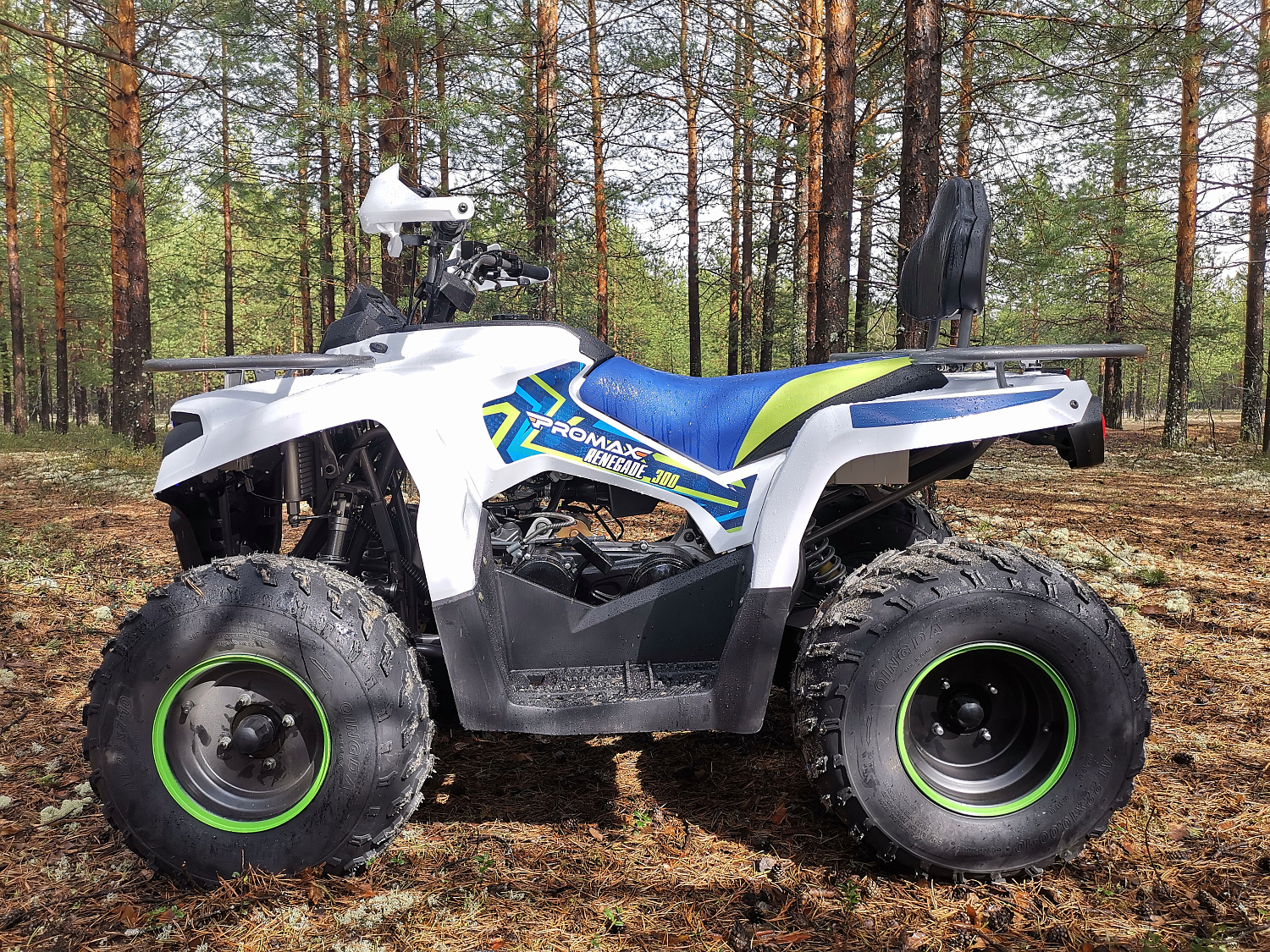 Квадроцикл PROMAX RENEGADE 280 (2025) в Королёве