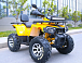 Квадроцикл MOTOLAND (МОТОЛЕНД) VOX200 WILD TRACK X PRO (баланс. вал) в Королёве