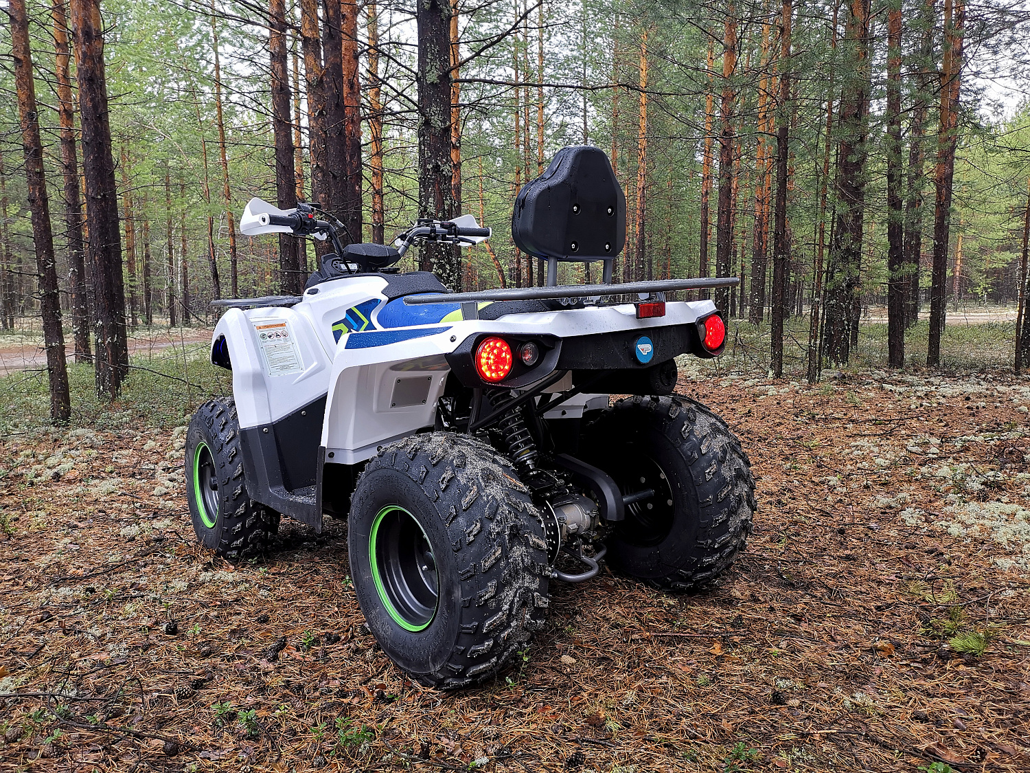 Квадроцикл PROMAX RENEGADE 280 (2025) в Королёве