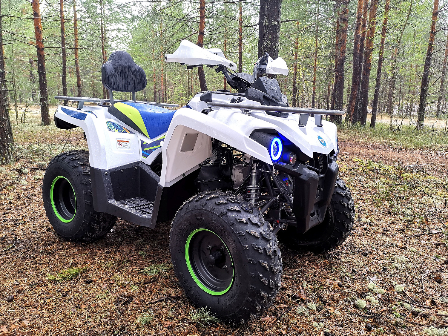 Квадроцикл PROMAX RENEGADE 280 (2025) в Королёве