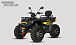 Квадроцикл PROMAX TAURUS 300 MAX-PRO LONG в Королёве